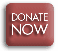 donate_online_now donate_online_now